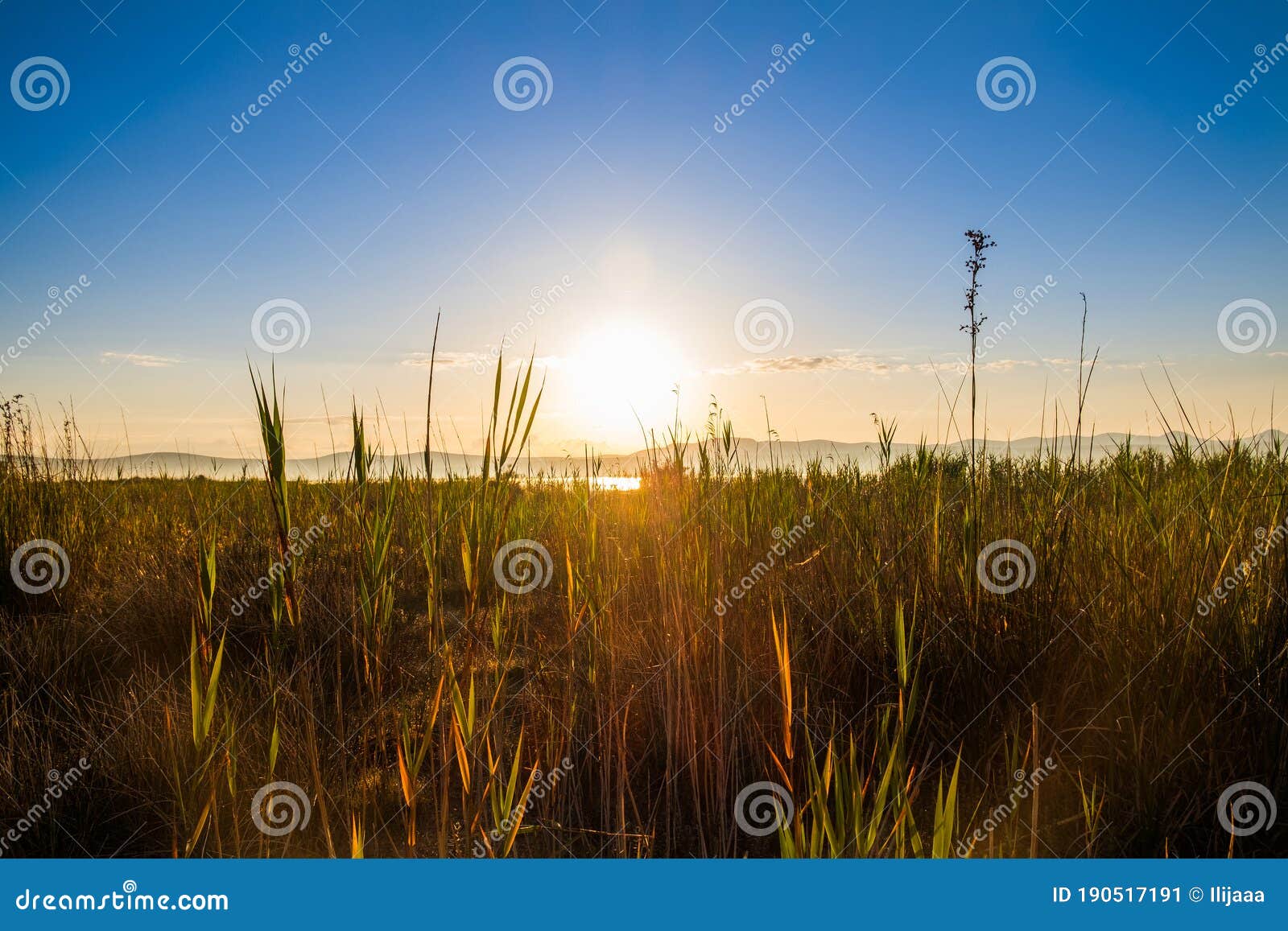 sunrise in nature park vrana lake vransko jezero in dalmatia, croatia