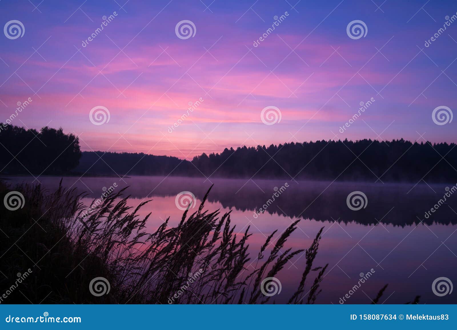 Sunrise Over The Lake In The Forest Stock Photo Image Of Blue
