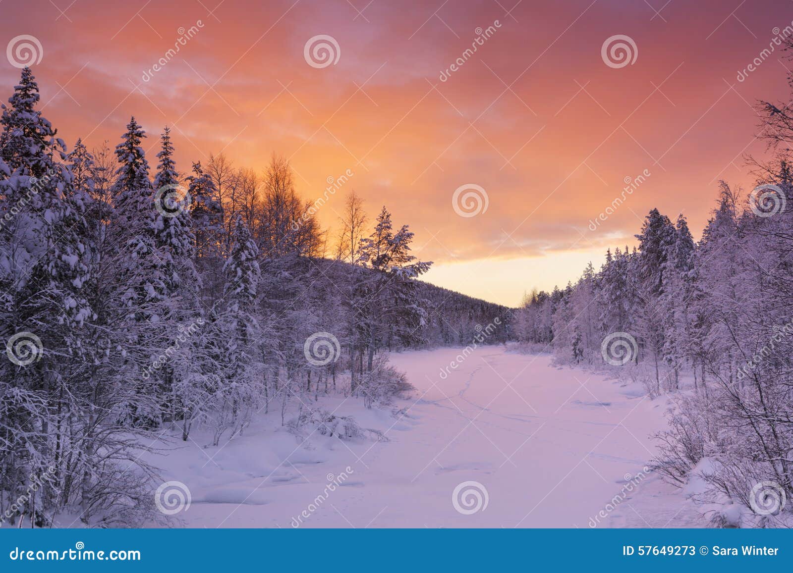 Sunrise Over a in Winter Near Levi, Finnish Lapland Stock Image - Image of europe, forest: 57649273
