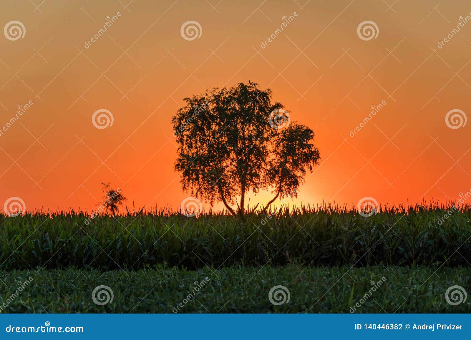 429 Pannonian Plain Photos Free Royalty Free Stock Photos From Dreamstime