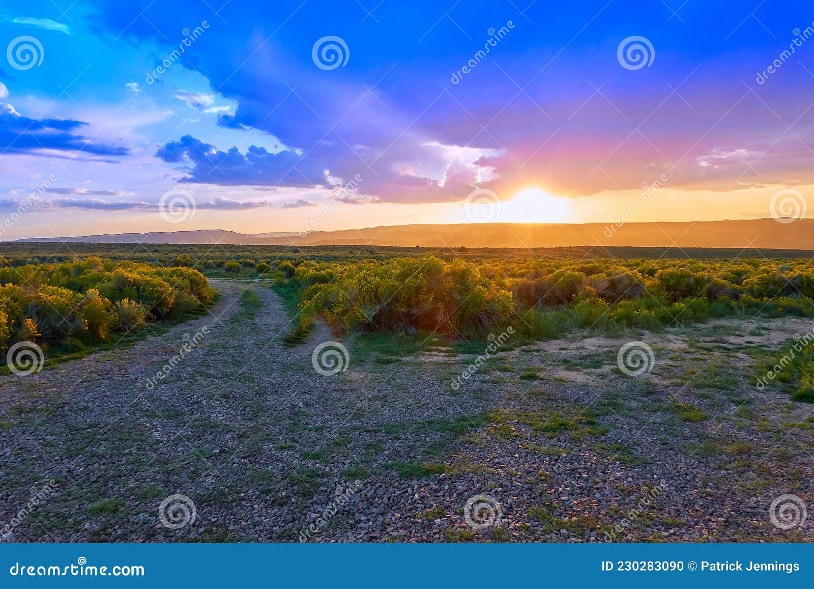 heart of the sun nms heart of the sun nms