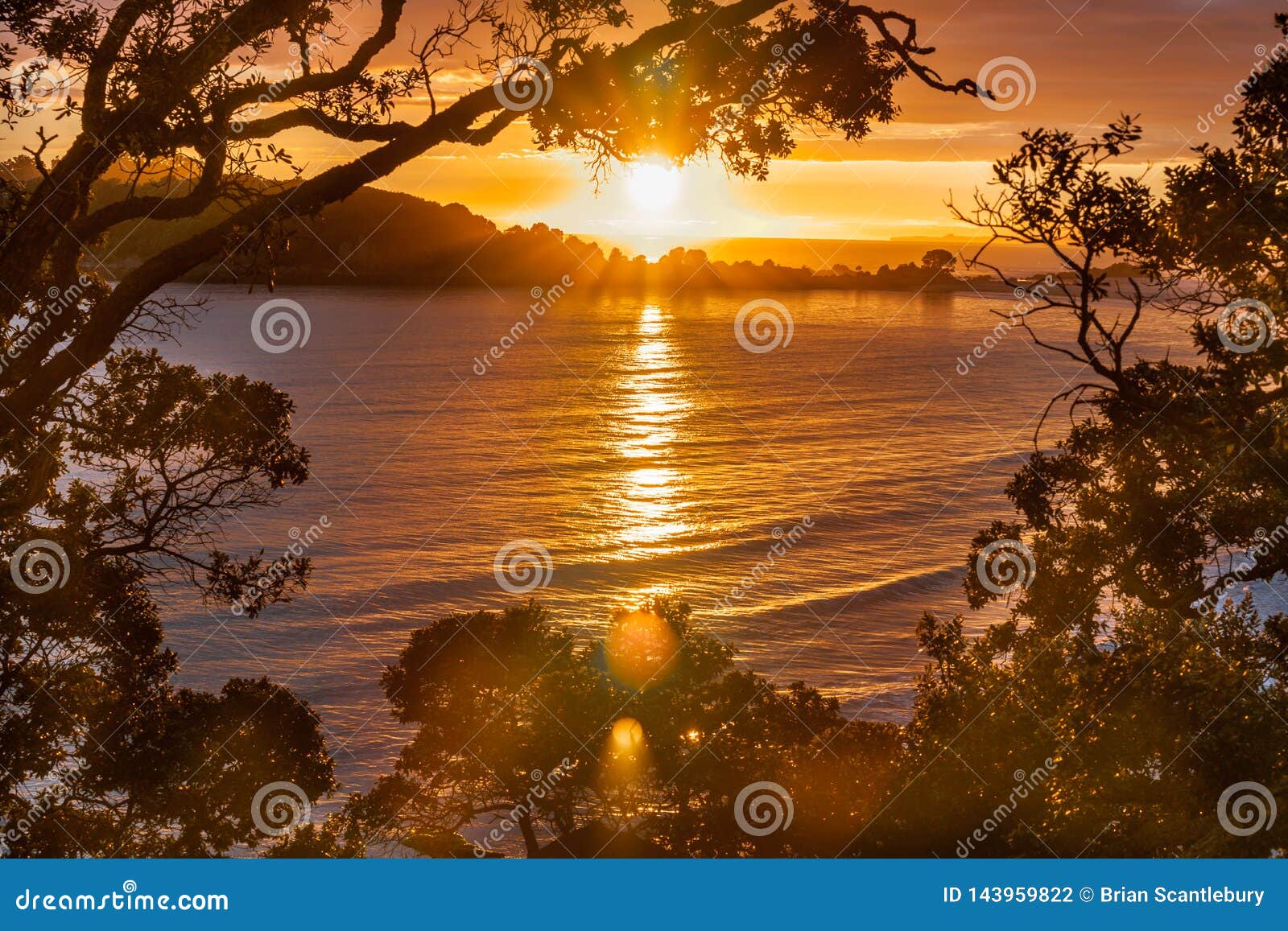 Sunrise Photograph Framed by Branches and Leaves Stock Photo - Image of
