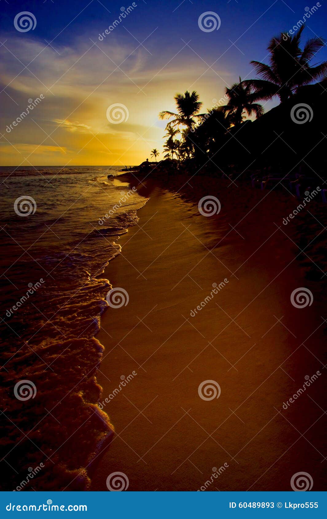 sunrise river palm