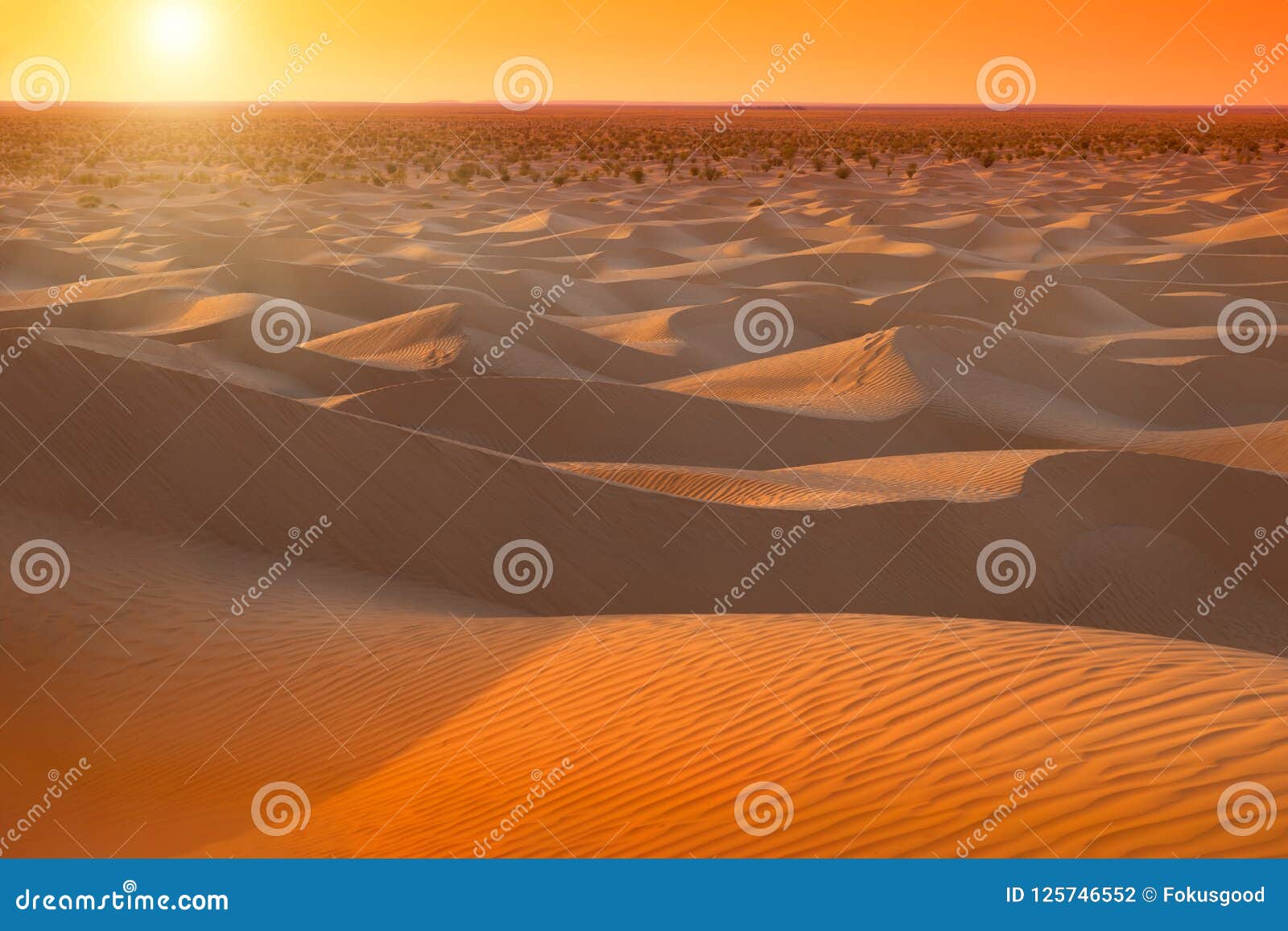 sunrise in sahara in tunisia