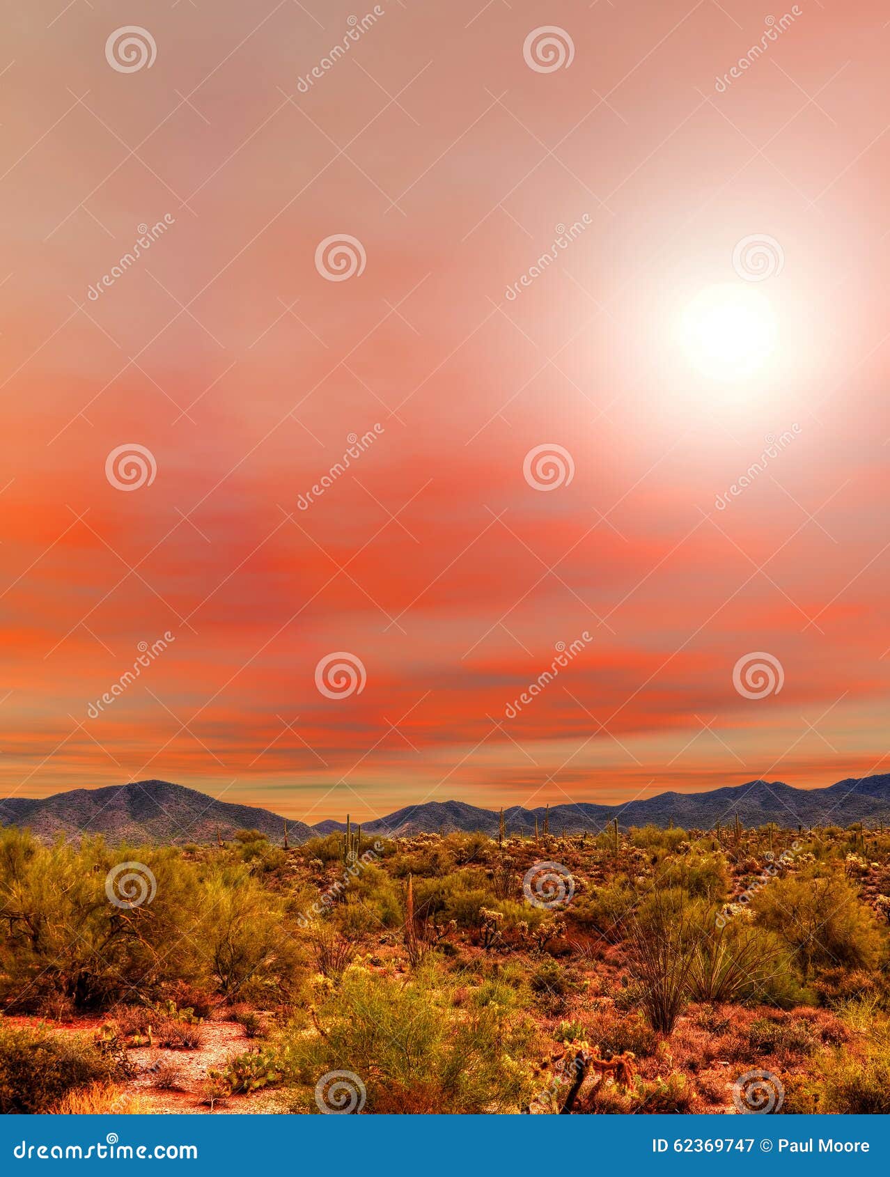 sunrise sonora desert