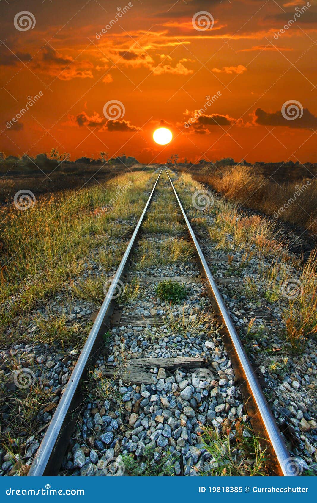 Shallow Focus Photography of Railway during Sunset · Free Stock Photo