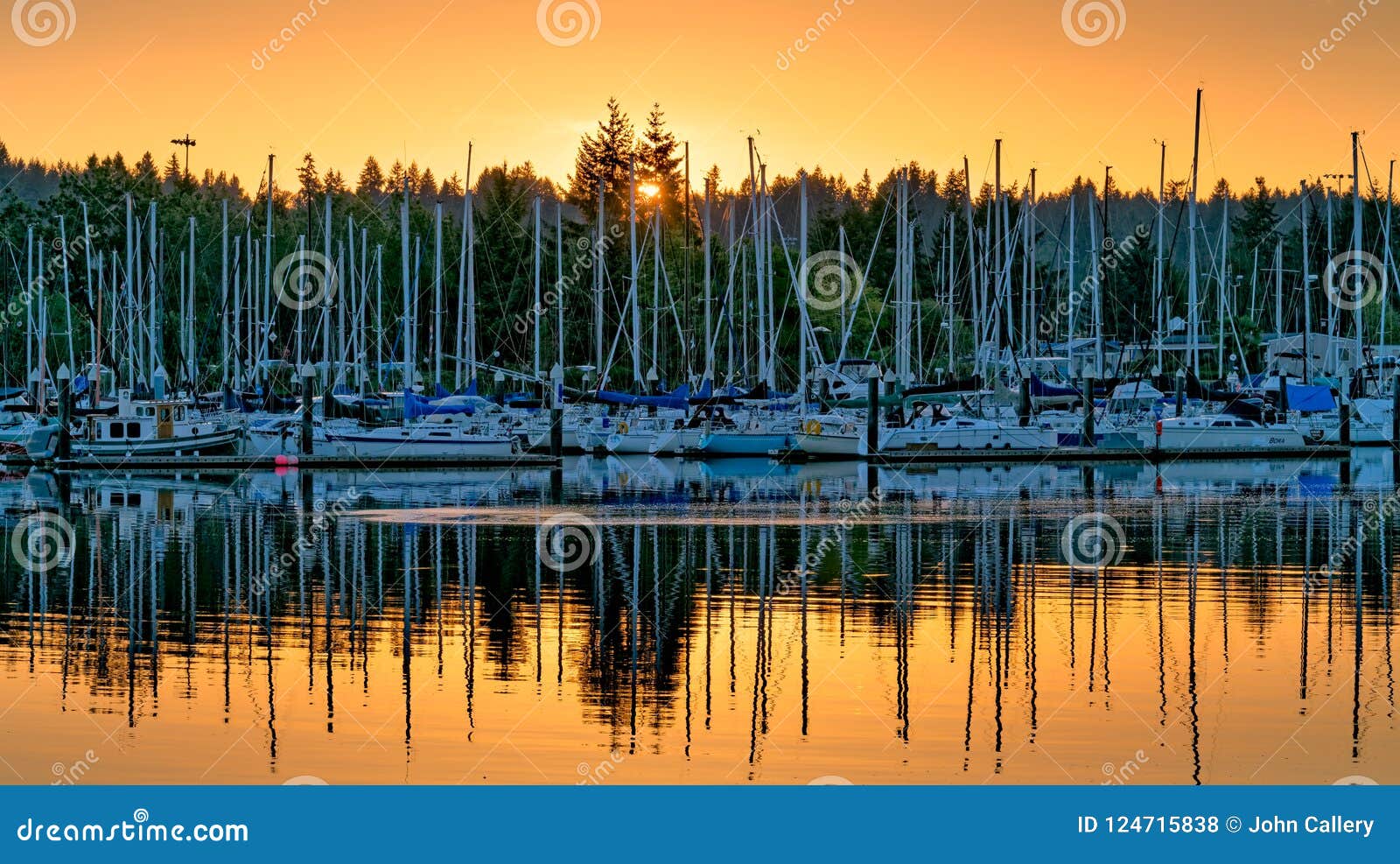 east bay sunset olympia washington