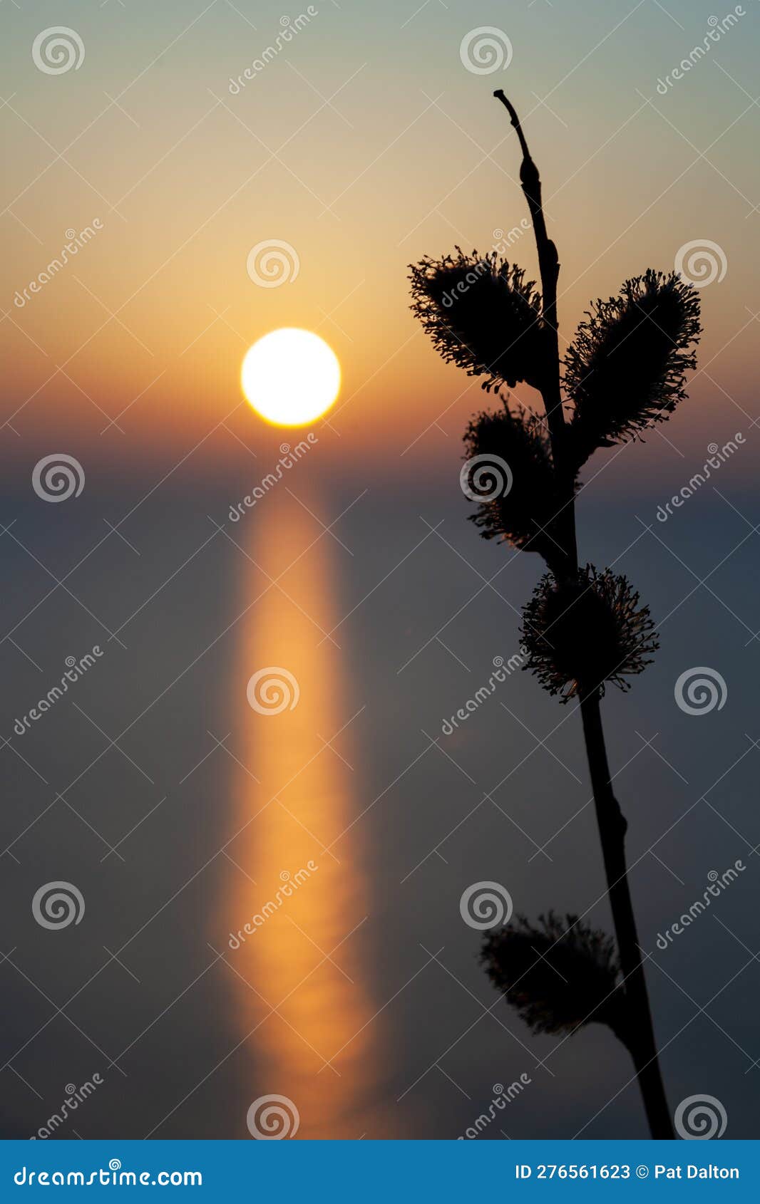 sunset at the baltic sea with beautiful soft light at goldenhour