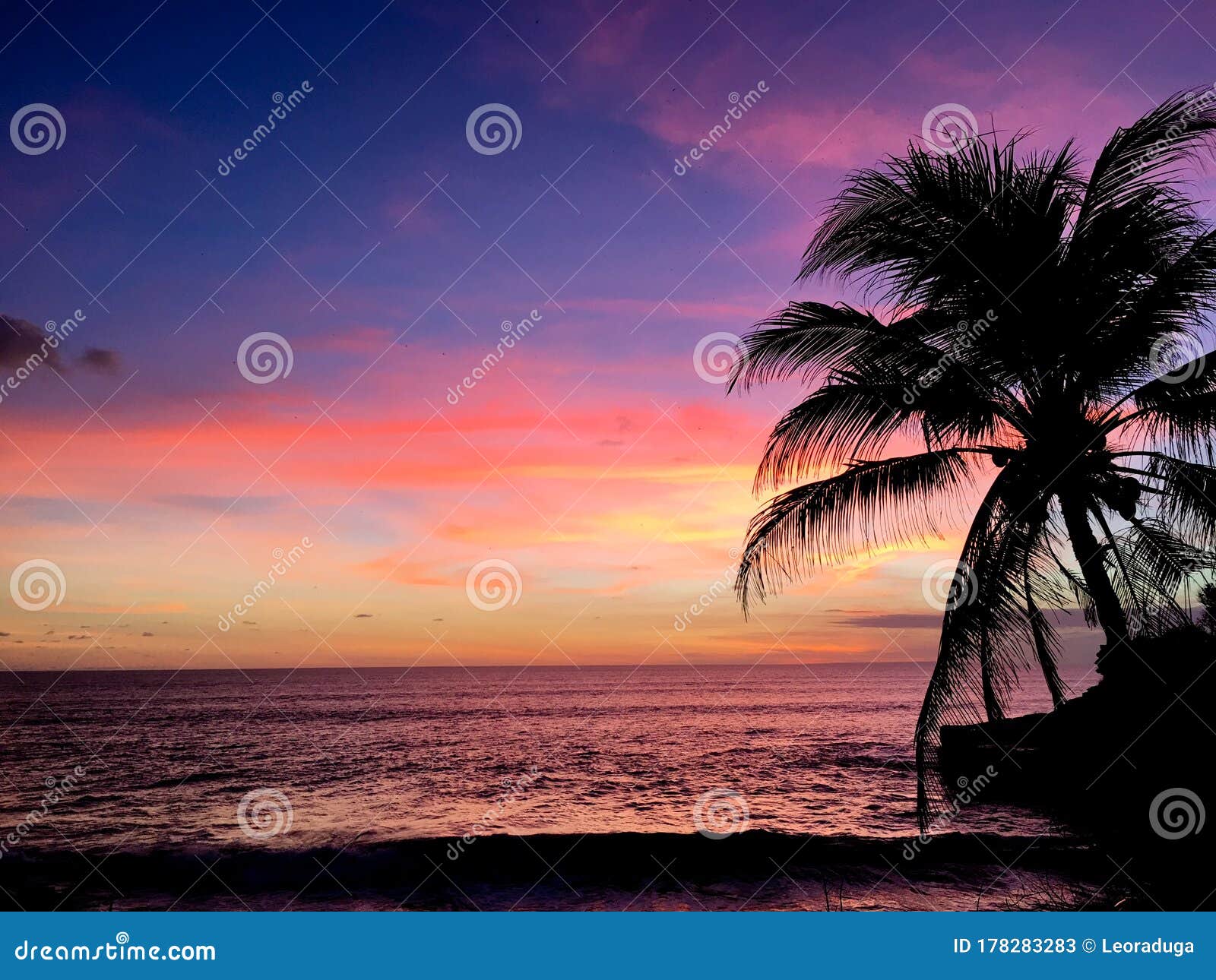 Palm Tree Wallpaper Images  Free Download on Freepik