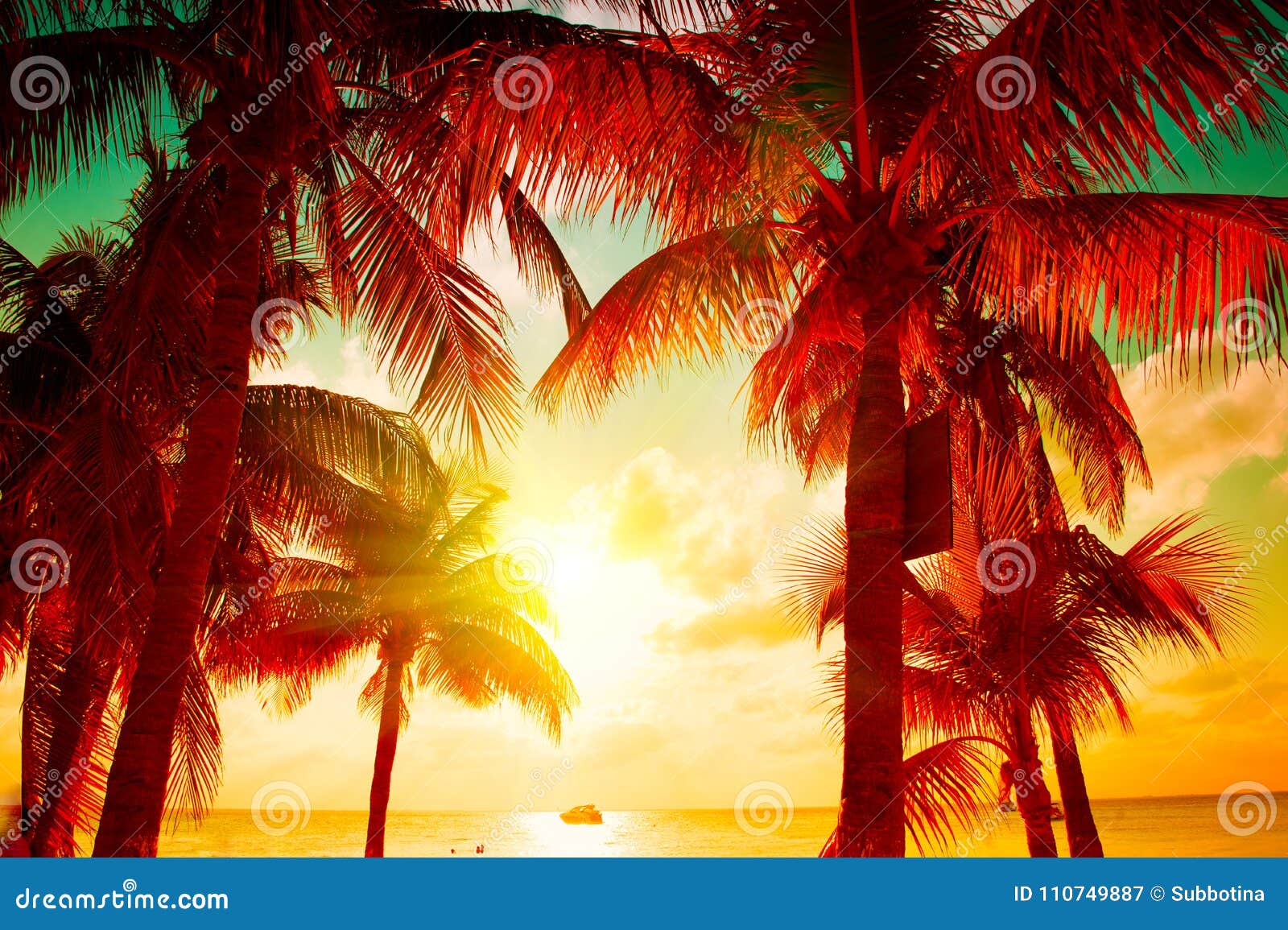 sunset beach with tropical palm tree over beautiful sky. palms and beautiful sky background. tourism, vacation concept backdrop