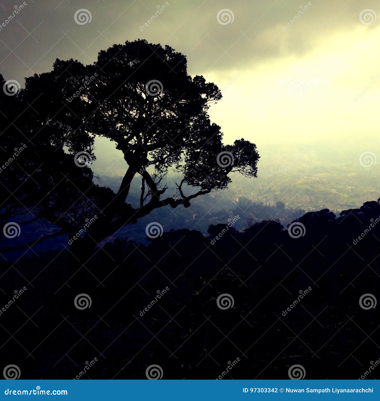 My Image 15