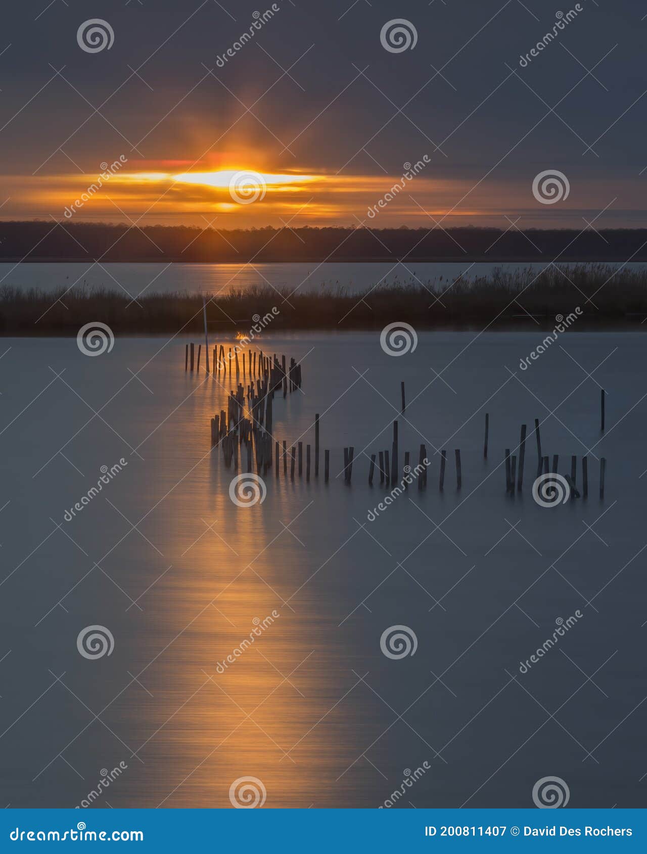 sunset at blackwater national wildlife refuge