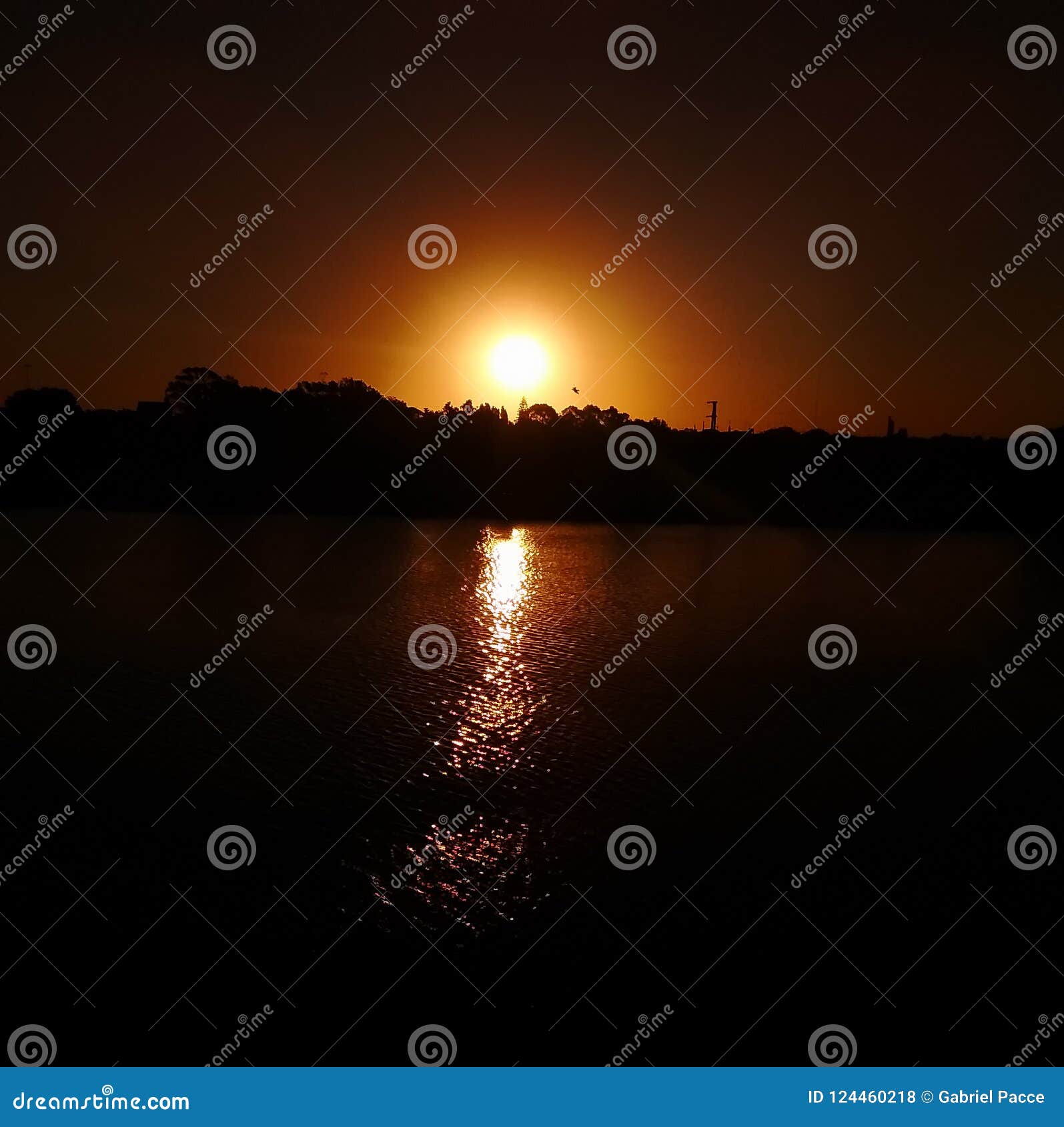 sunset in the bridge