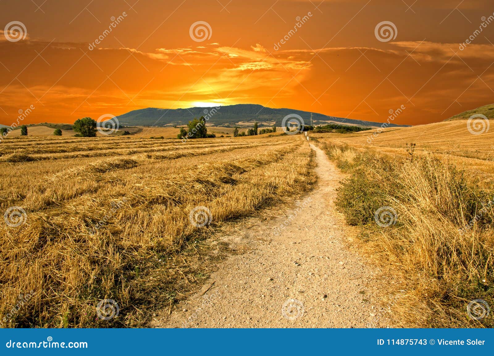 sunset on the camino de santiago through navarra