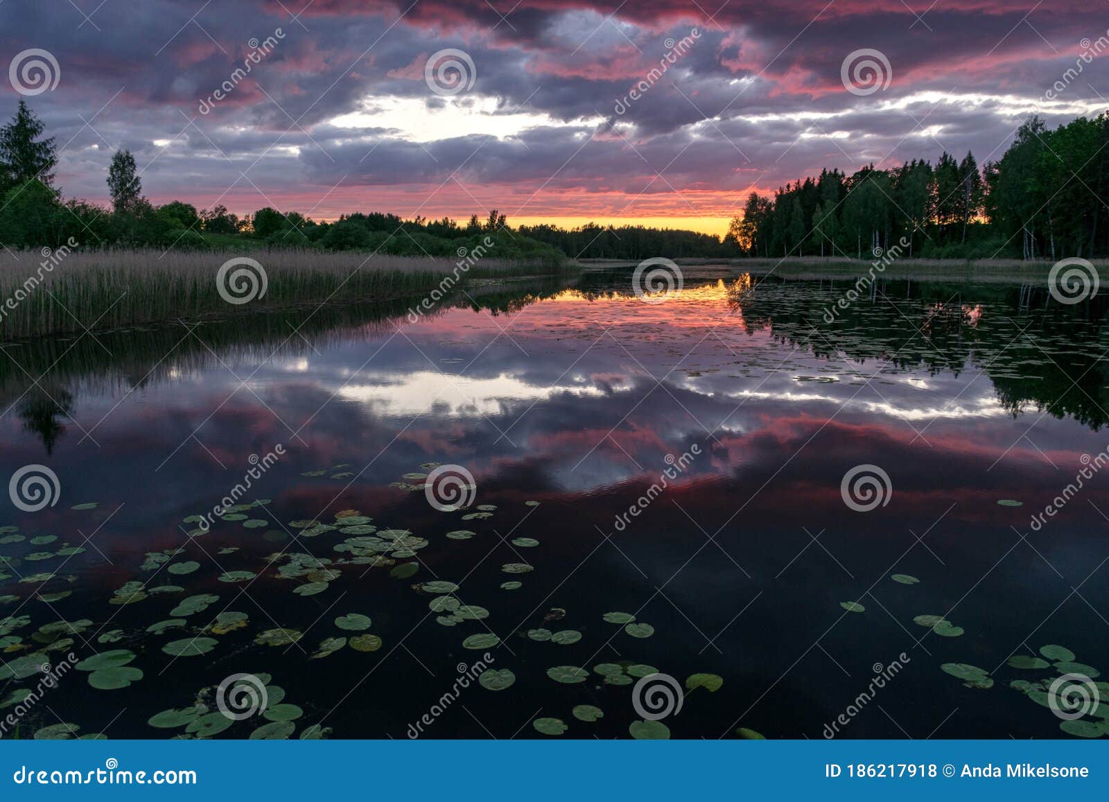 sunset clouds are reflected in the calm mirror water of the lake. beautiful sunset with reflections on the lake in the background