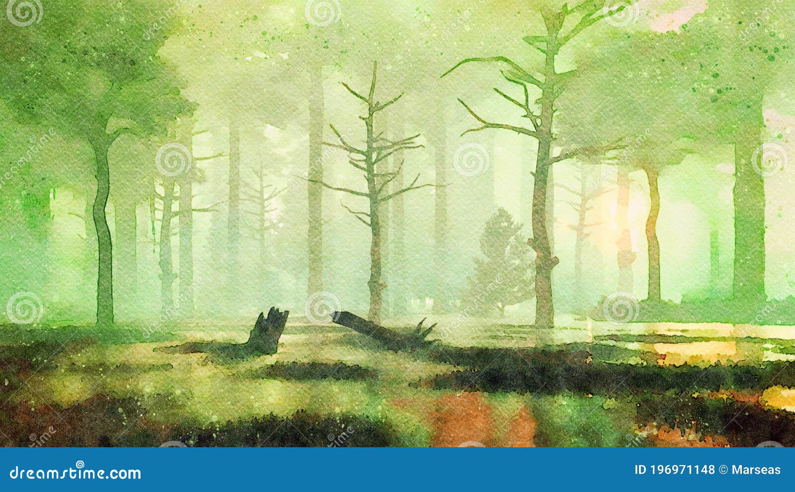 sunset in dark swampy forest watercolor landscape