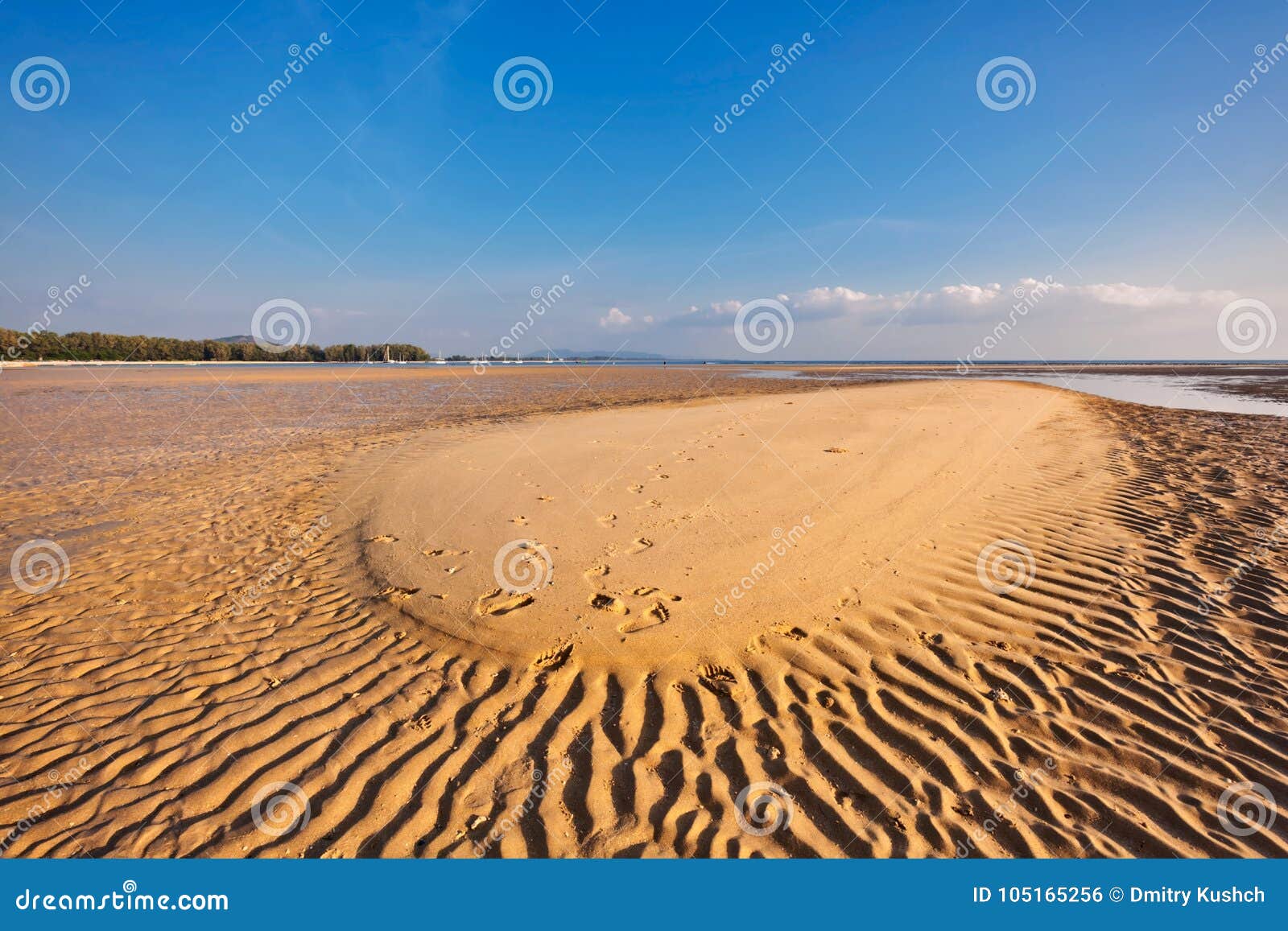 Sunset ebb landscape stock photo. Image of dark, blue 105165256