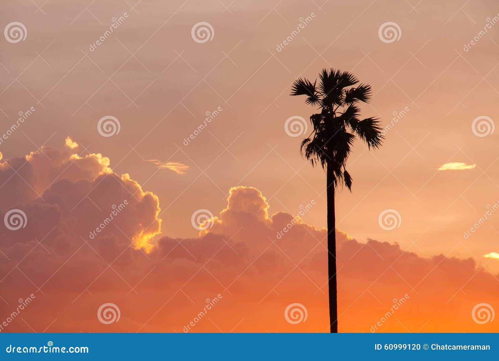 Sunset with farm stock photo. Image of tree, view, recreation 60999120