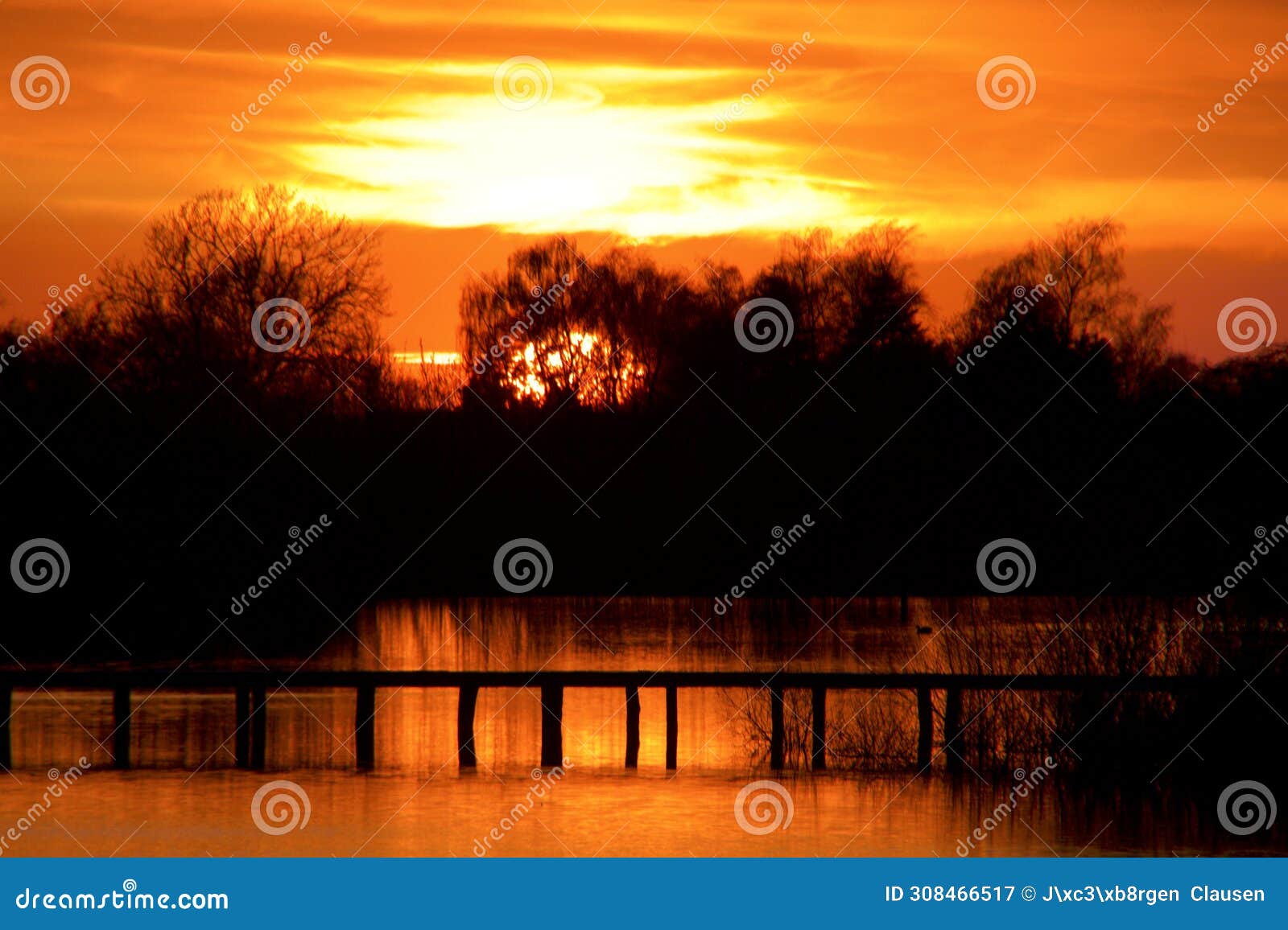 sunset in a golden glow by the lake bridge went down behind the trees