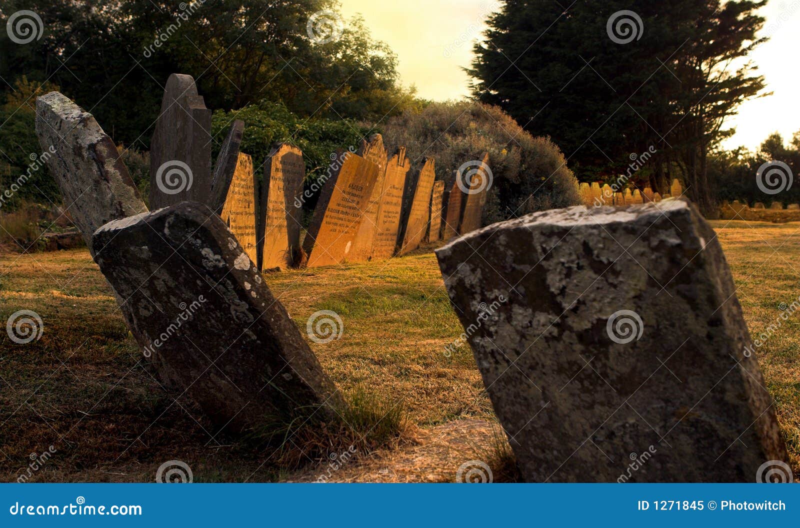 sunset graves