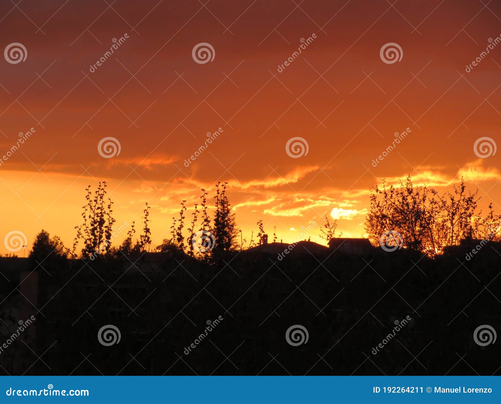 sunset sunset horizon hidden sun light vegetation