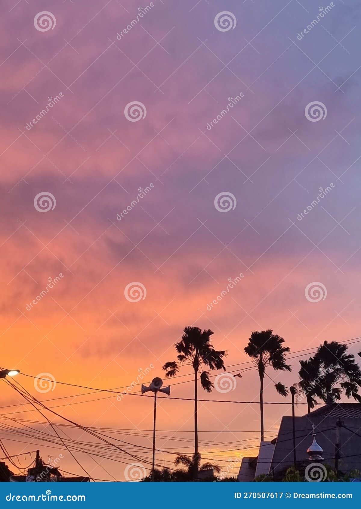 Sunset in Jakarta stock image. Image of jakarta, tree 270507617
