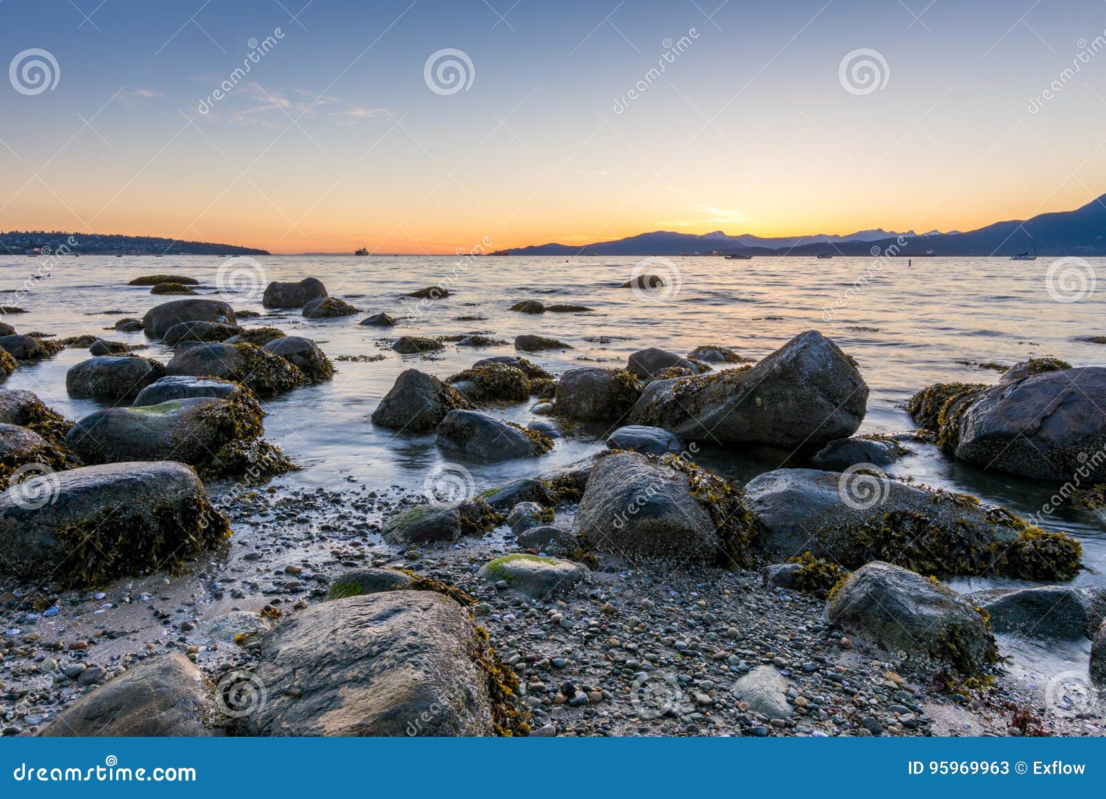 Sunset at Kitsilano Beach, Vancouver Canada Stock Image Image of