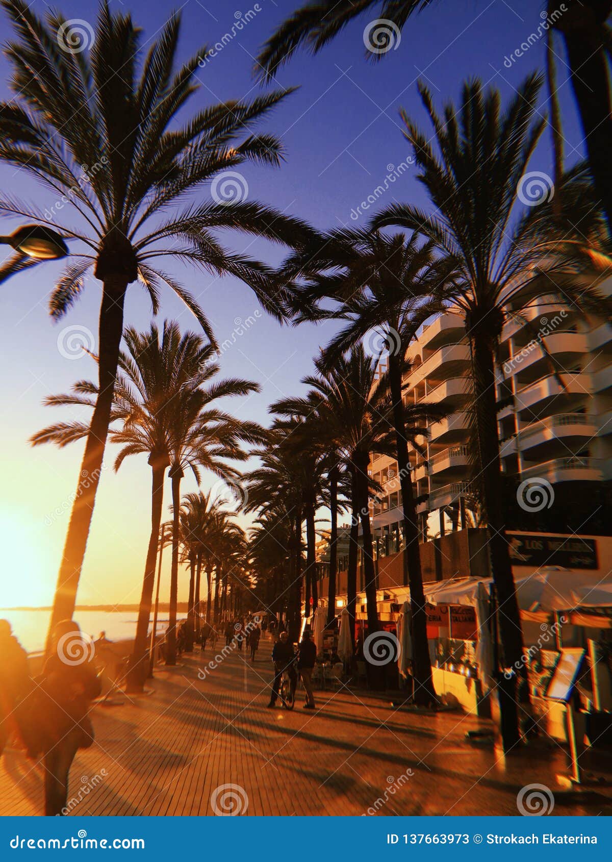 Marbella editorial stock photo. Image of palms, marbella - 137663973