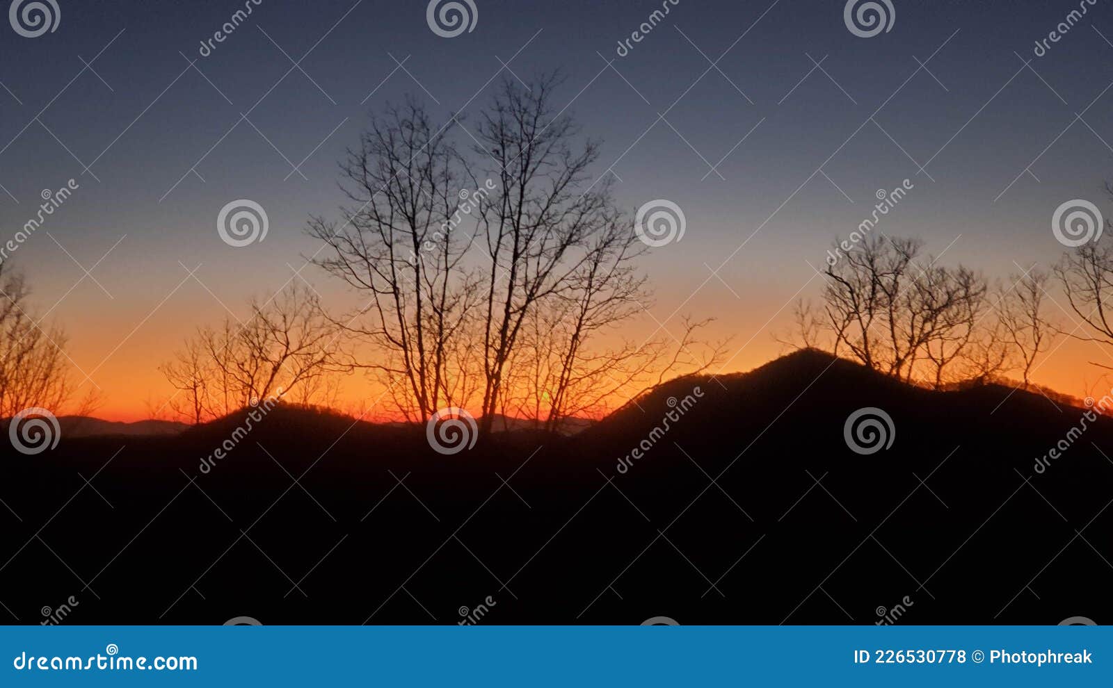 after sunset in mountian trees