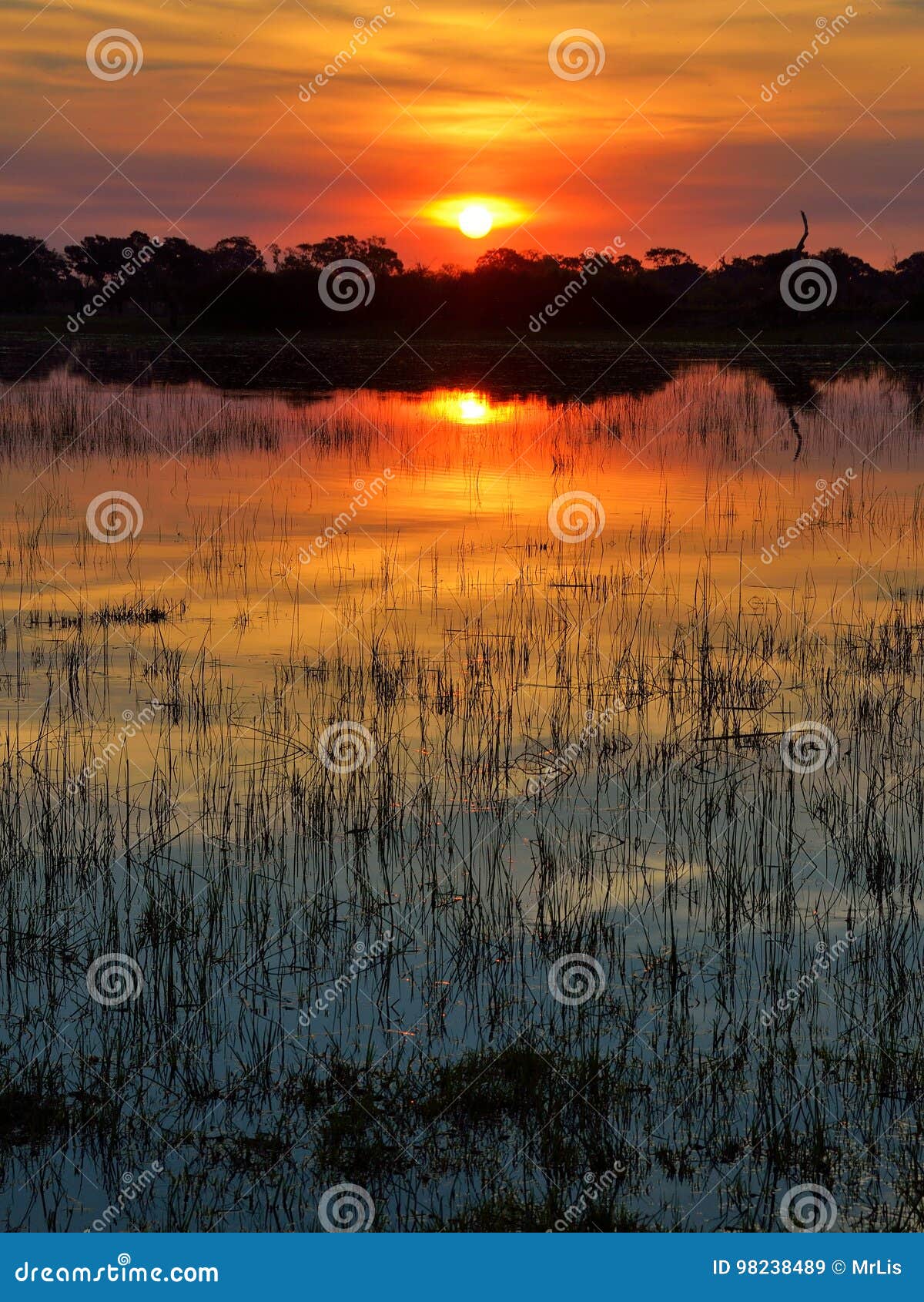 Sunset in the Okavango Delta at Sunset, Botswana Stock Image - Image of ...