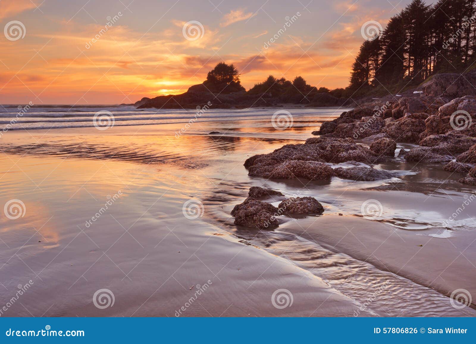 sunset over the beach of cox bay, vancouver island, canada