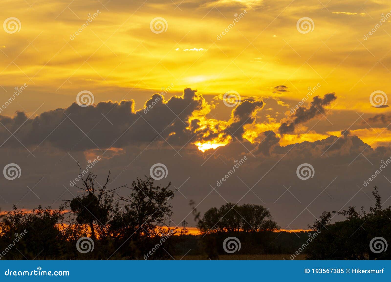 sunset over a corn field near sandweier baden-baden