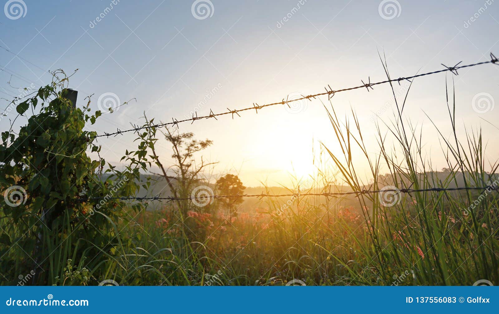 Sunset Over Fields with Barbed Wire Fences Stock Image Image of