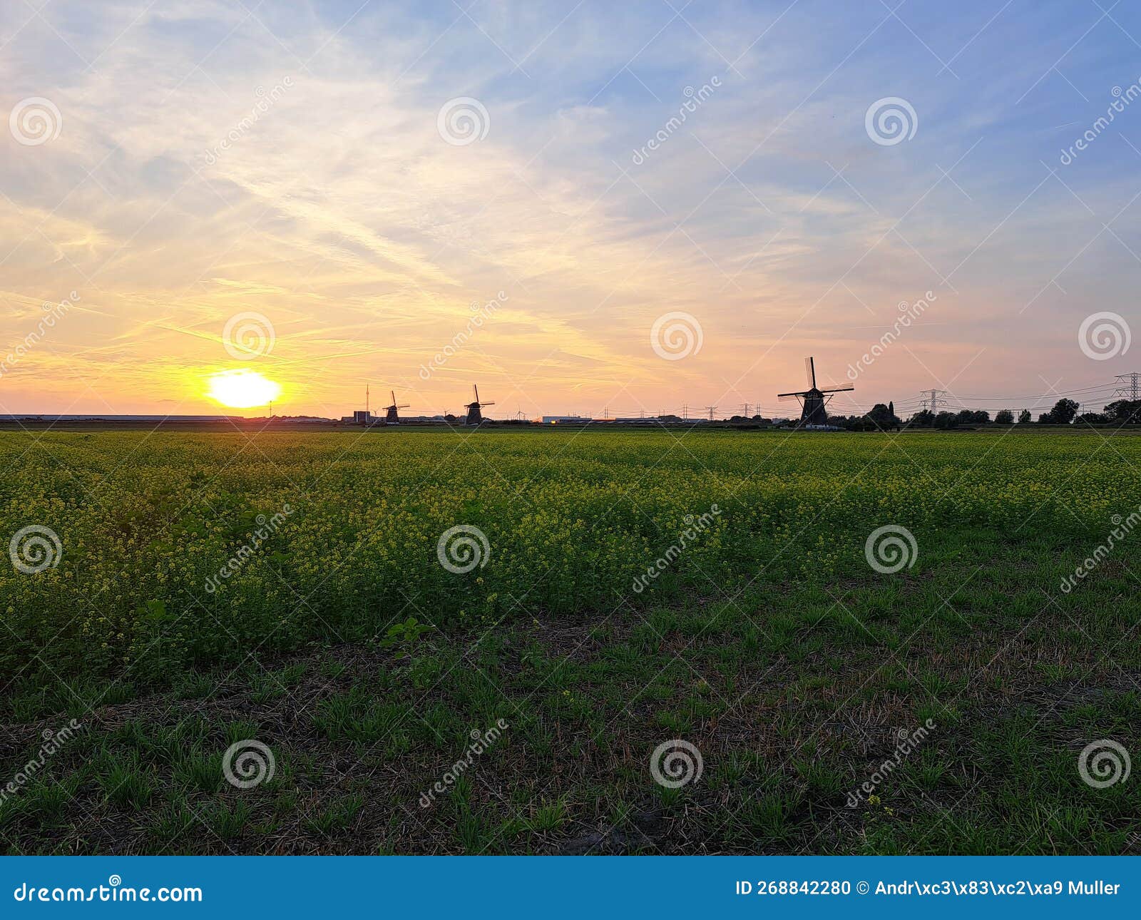 sunset over the meadows of the tweemanspolder in zevenhuizen