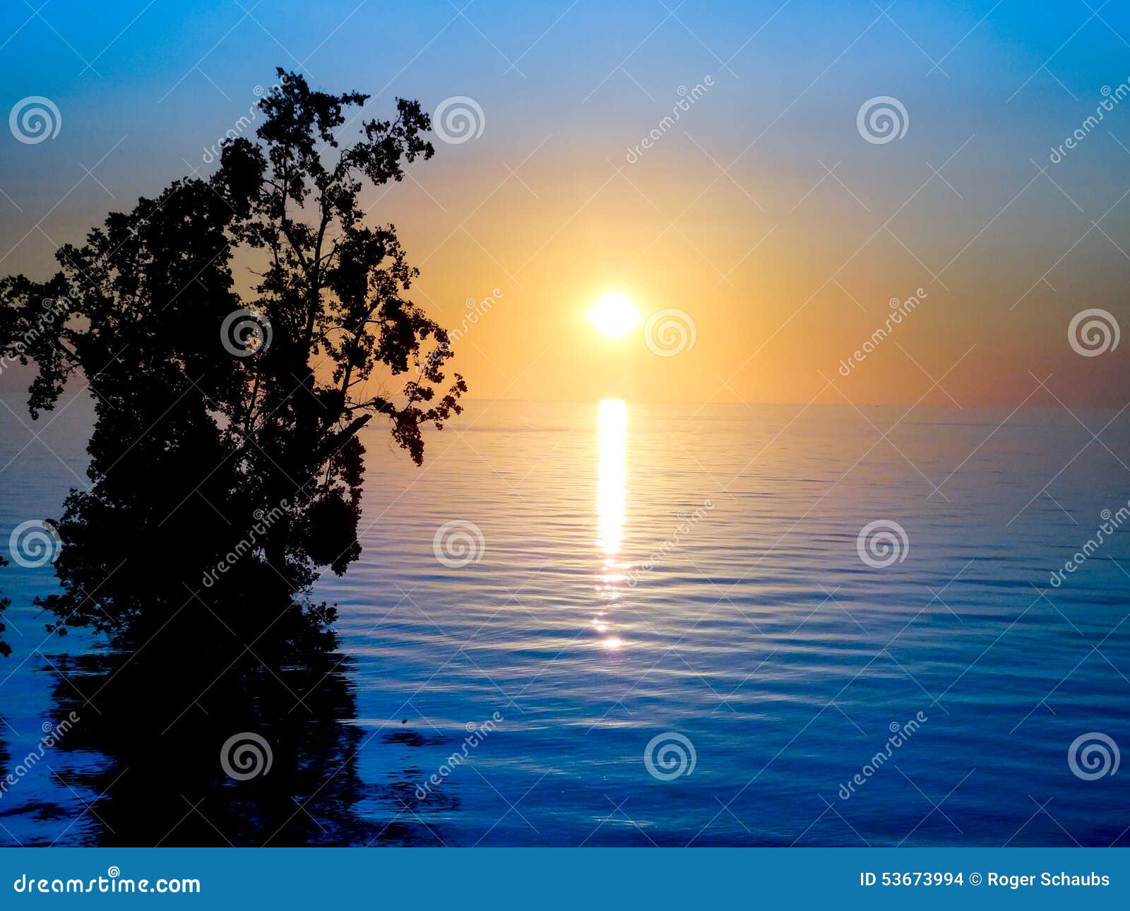 sunset over sea with mangroves