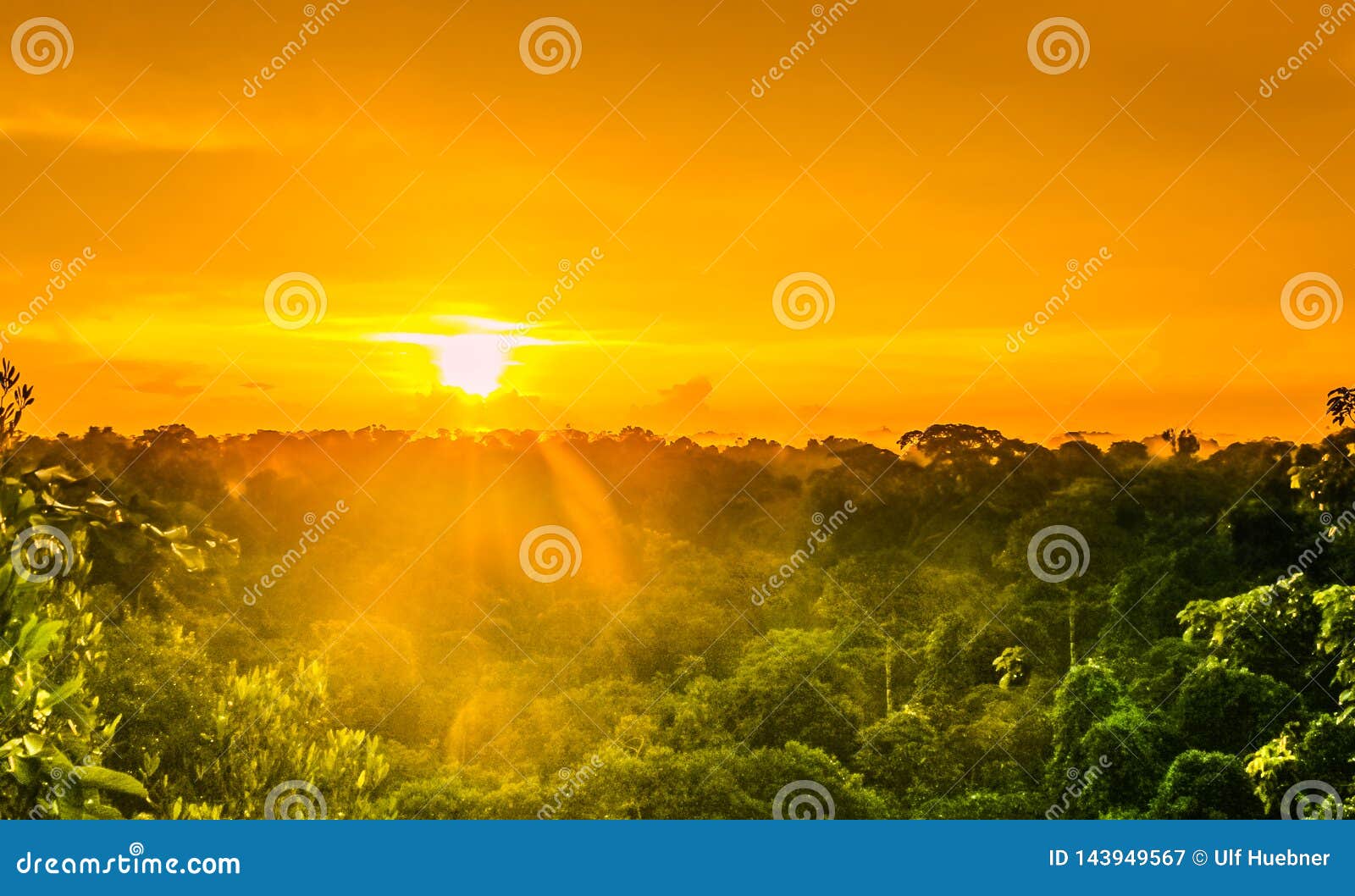 sunset over the trees in the brazilian rainforest of amazonas