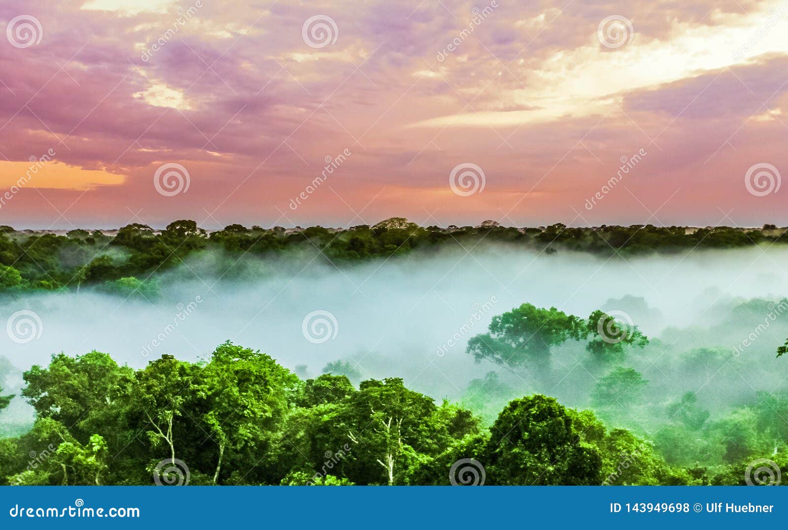sunset over the trees in the brazilian rainforest of amazonas