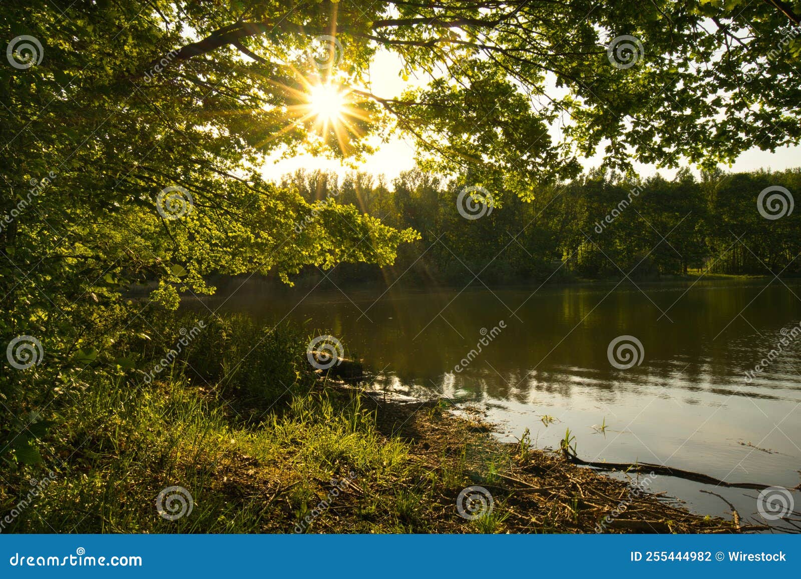 Sunset Over Water in Germany Forrest Stock Photo Image of water