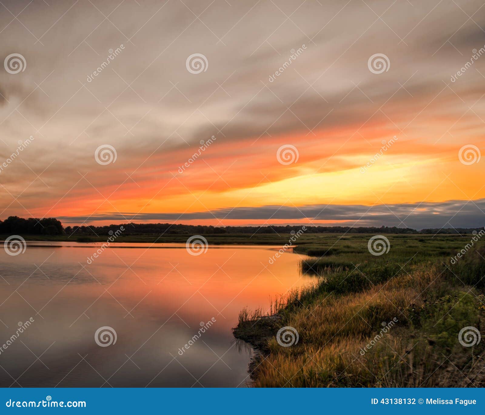 sunset over woodland marsh