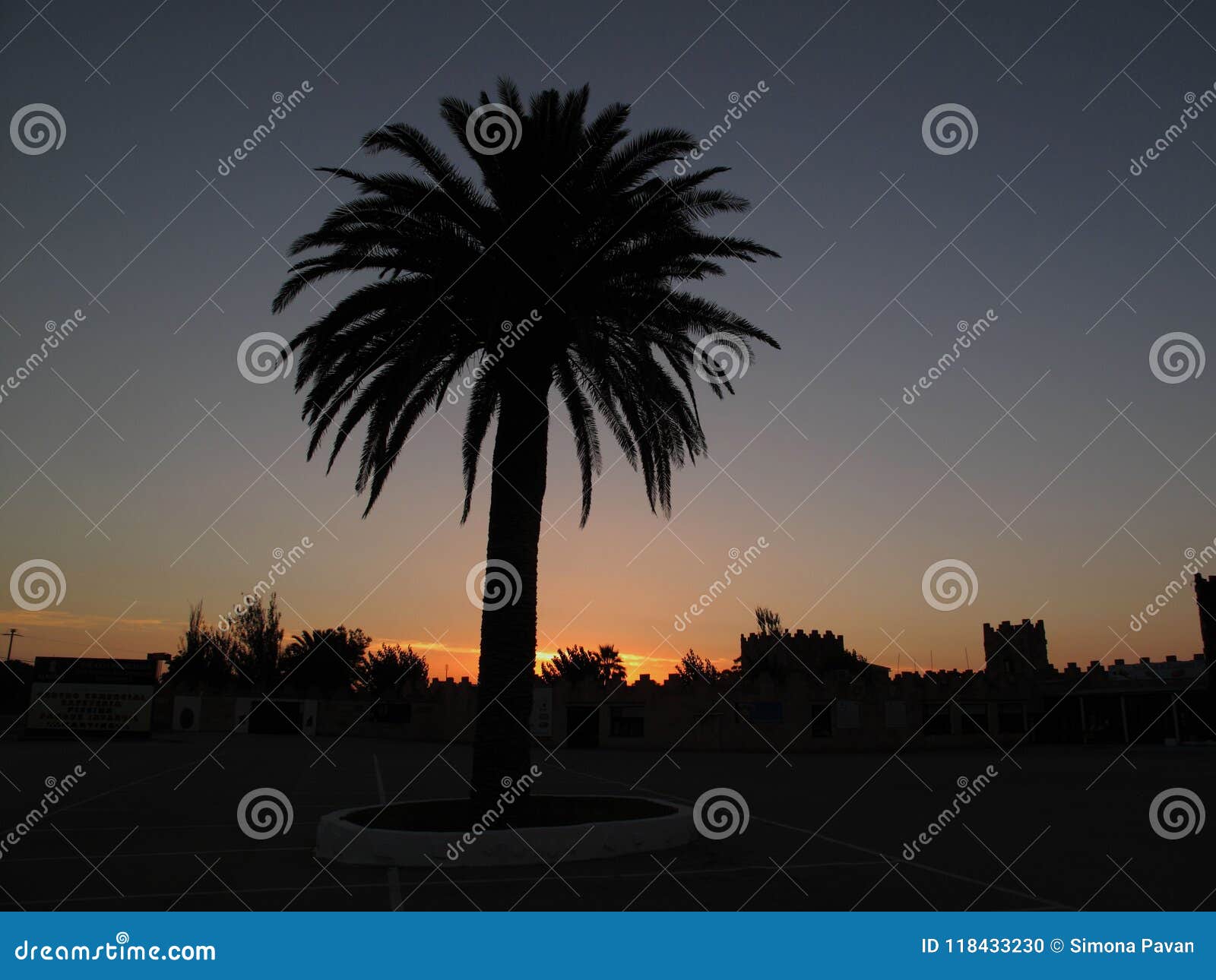 sunset with palm