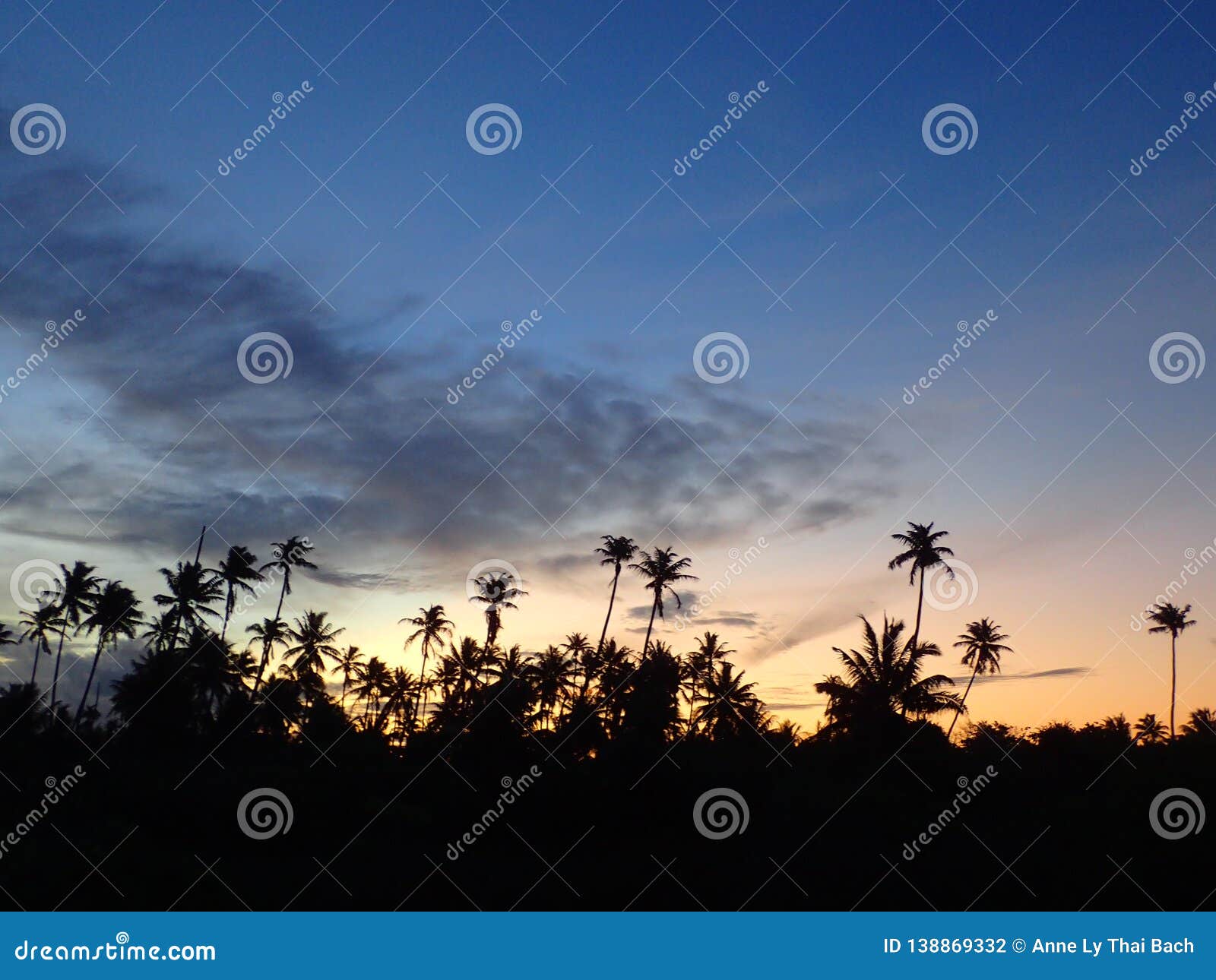 sunset on palm trees, bright colors, bora fakarava french polynesia, pontoon, deck