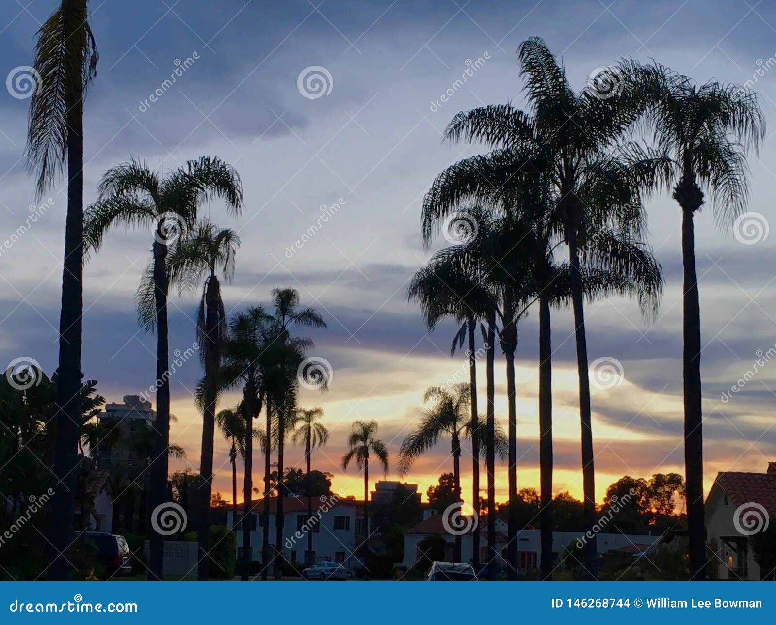 Sunset & Palms in San Diego Stock Photo - Image of dusk, palm: 146268744