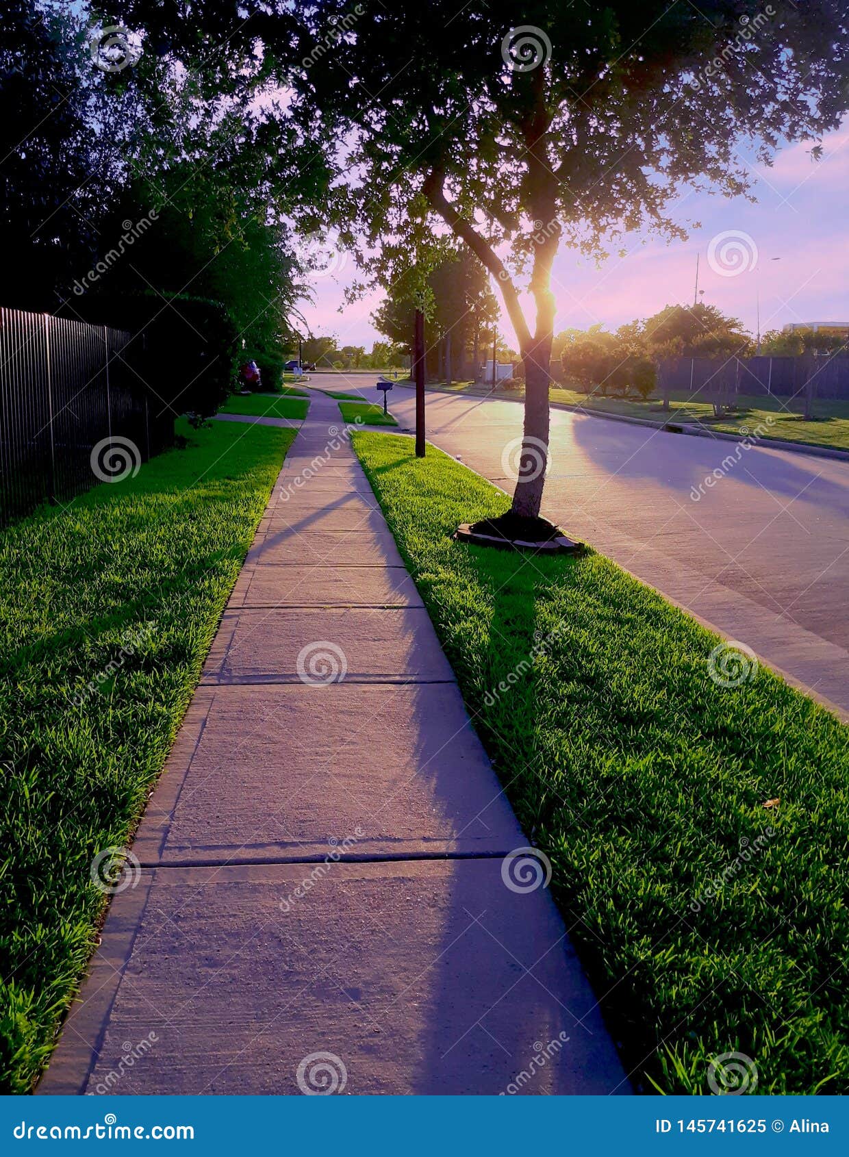 Sunset Palms Sugar Land Texas Houston Walk Stock Image Image of texas