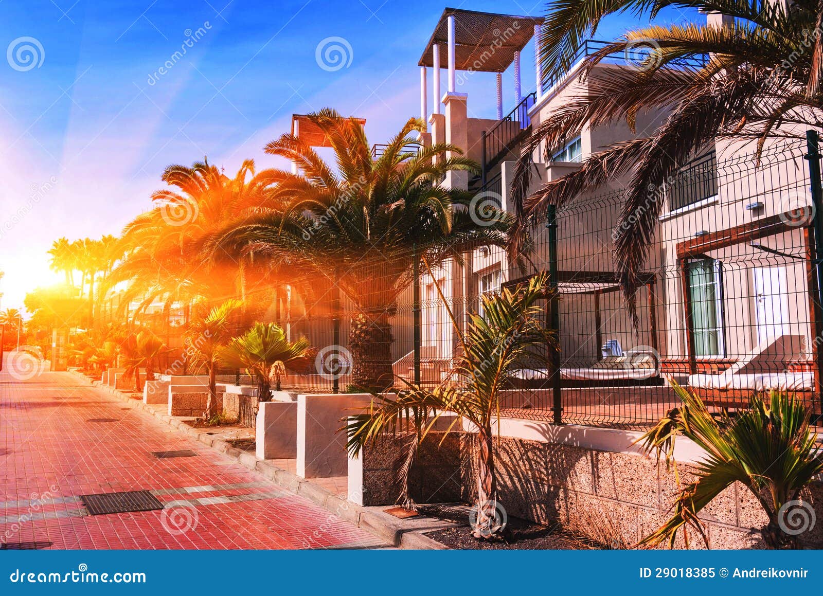 sunset in puerto de la cruz, tenerife.