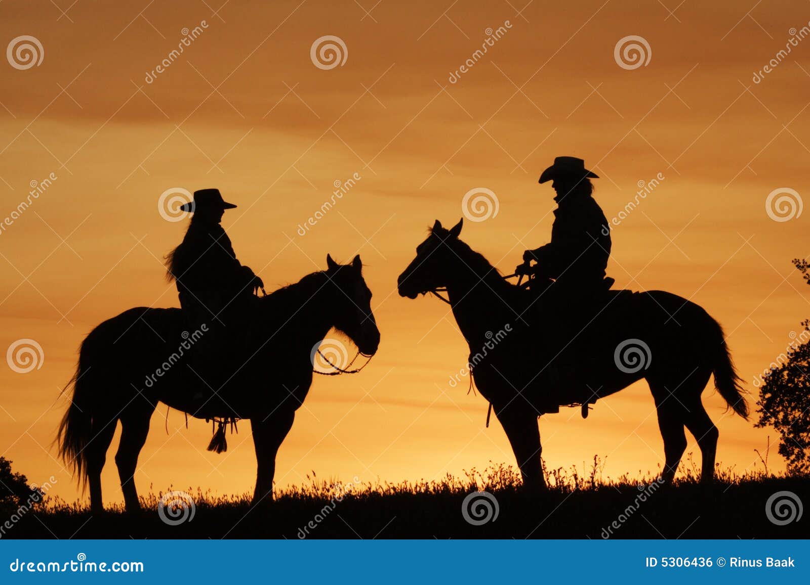 sunset riders