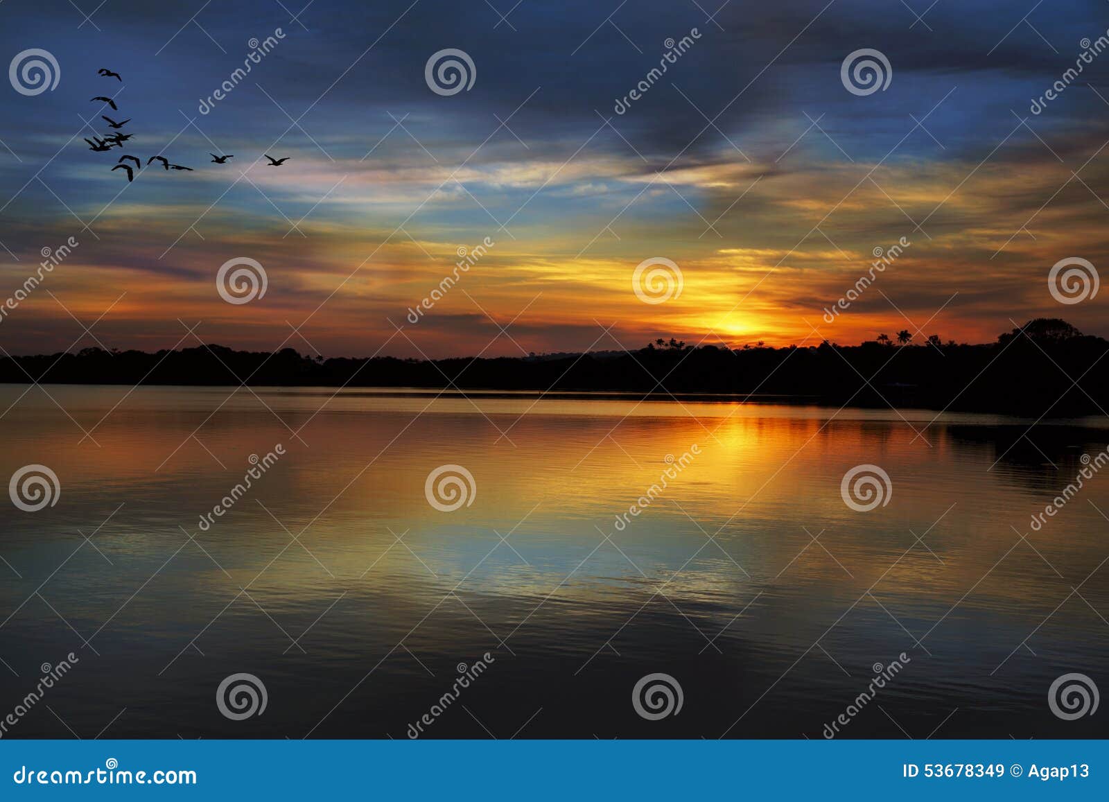 sunset on the rio negro