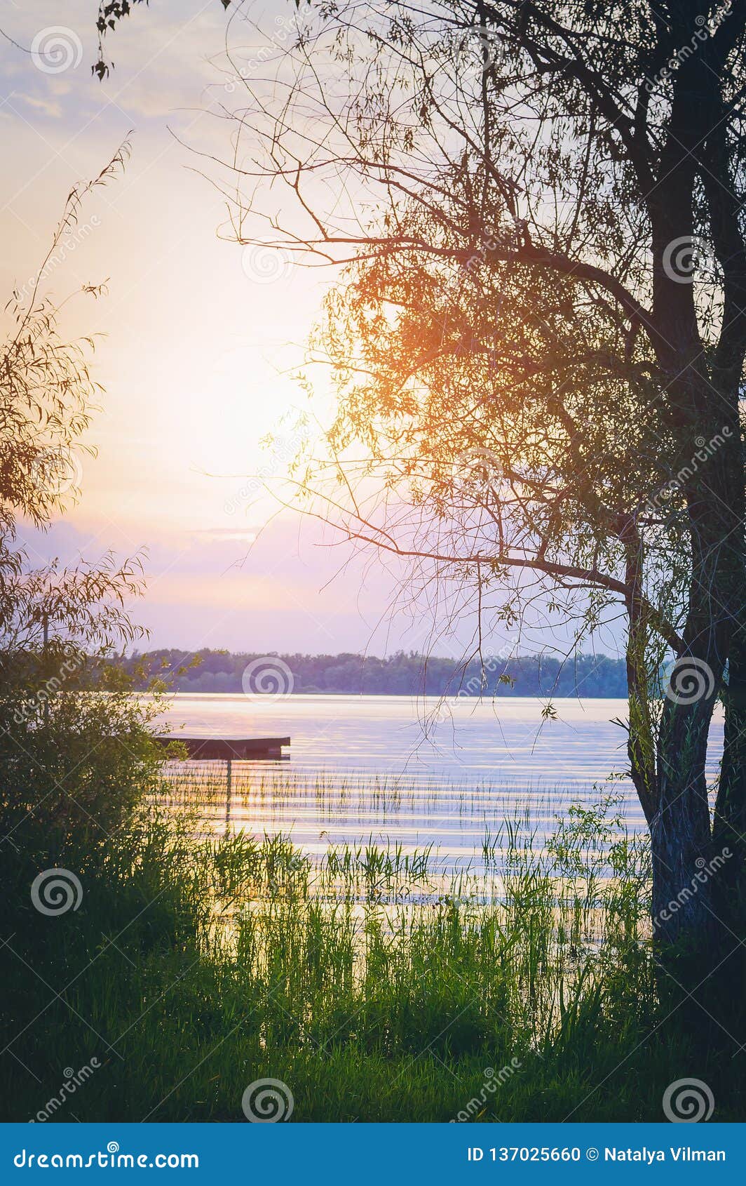 Sunset on the River - a Beautiful Evening Summer Landscape. Russia ...