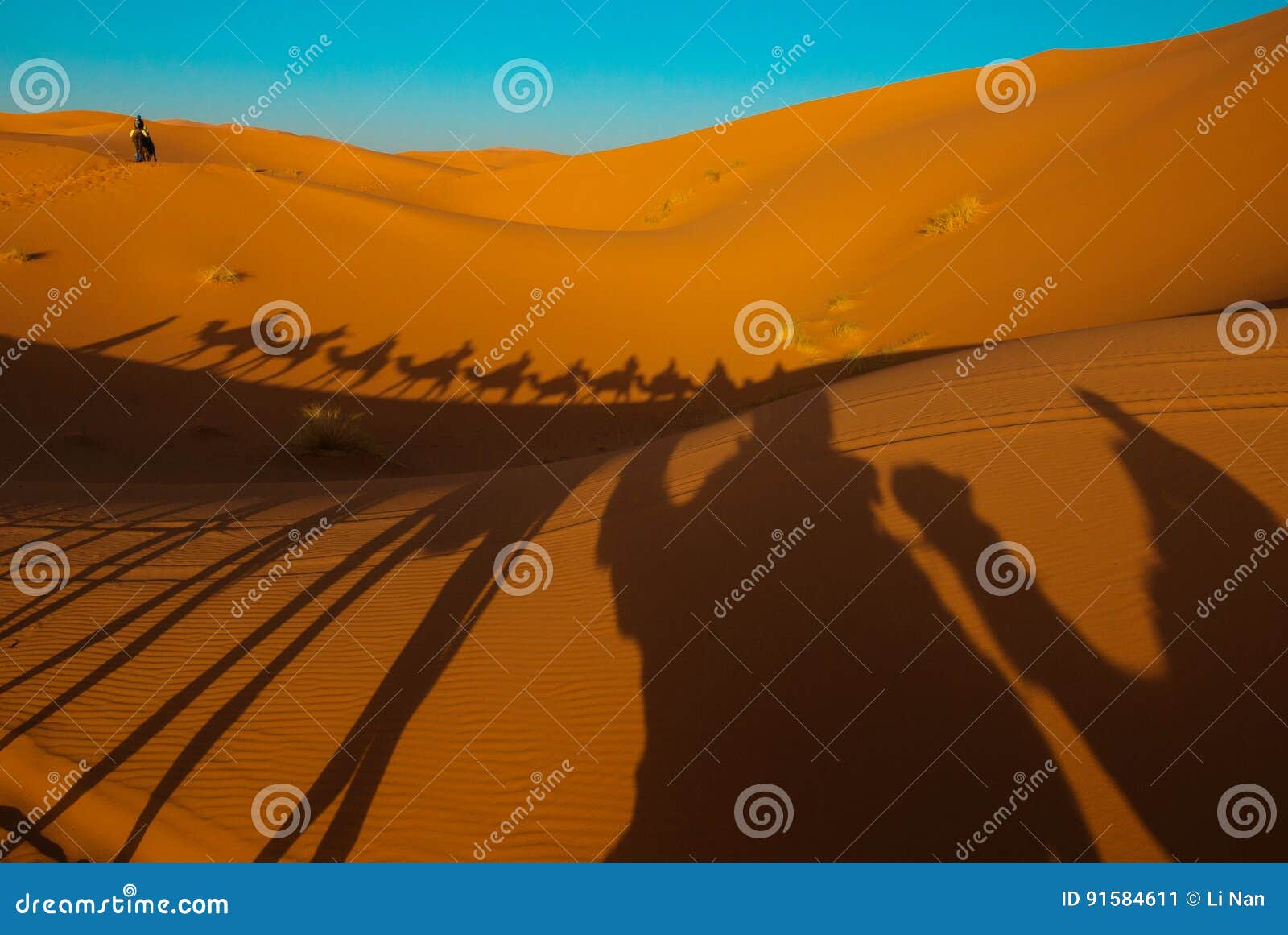 sunset in sahara desert