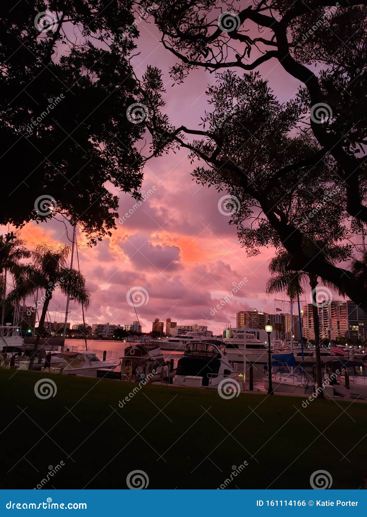 Sunset Sarasota stock photo. Image of sunset, sarasota 161114166