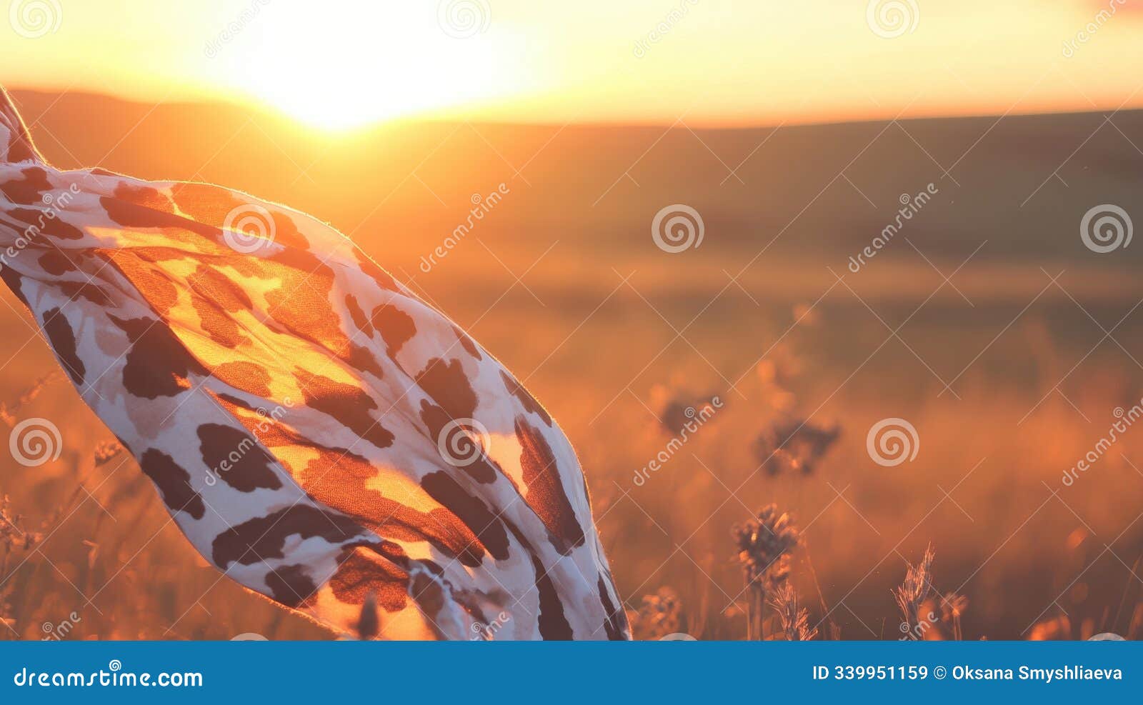 sunset serenity: golden light draping over spotted scarf